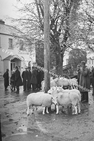 BLESSINGTON FAIR